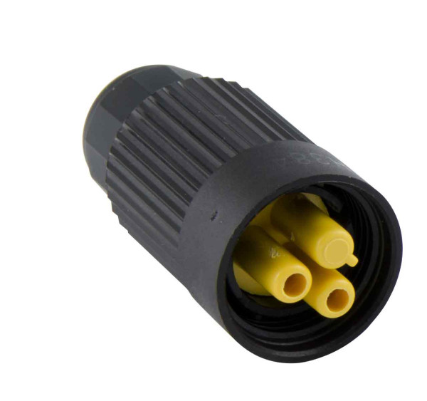 292001_1.jpg