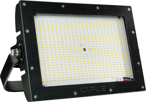 293517_1.jpg